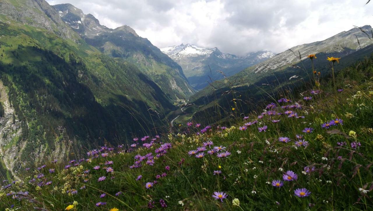 Simiterhof Matrei in Osttirol
