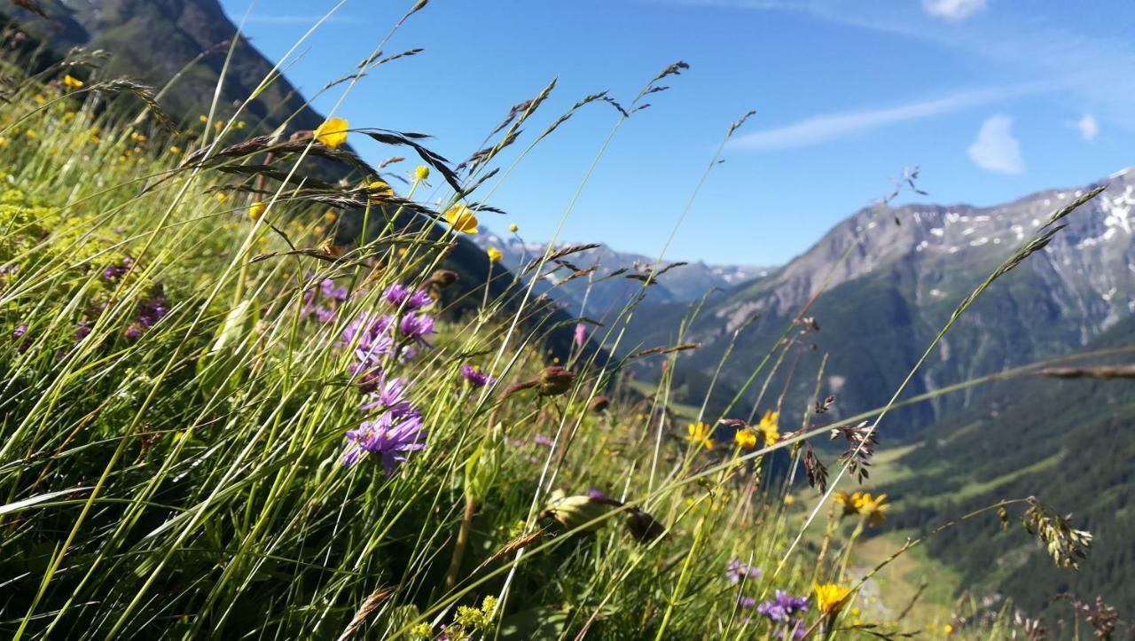 Simiterhof Apartmán Matrei in Osttirol